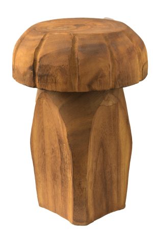 פטריה עץ מייפל