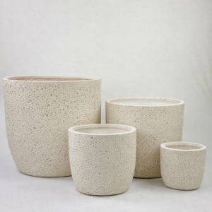 סט רביעייה כדי אלמוג שמנת