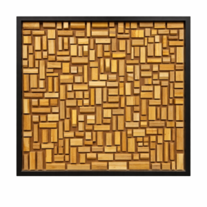 תמונה מרובעת וויילד